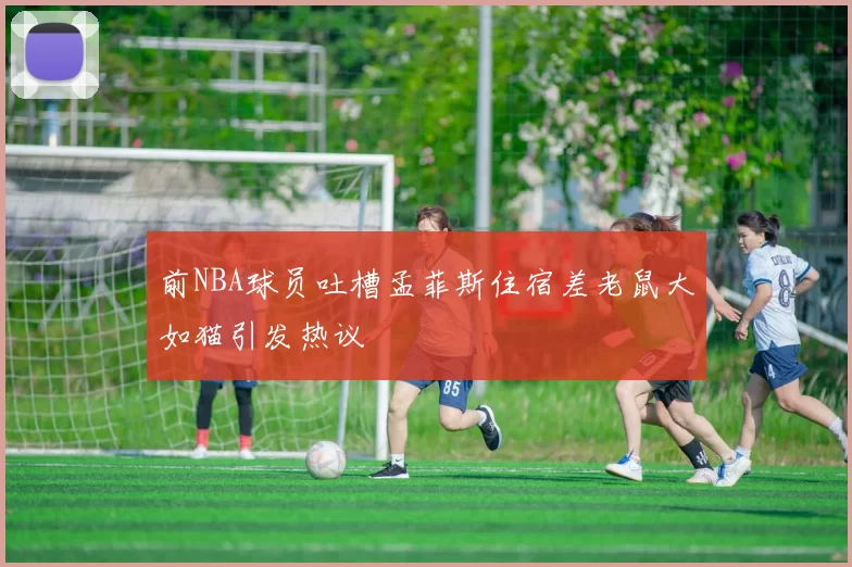 前NBA球员吐槽孟菲斯住宿差老鼠大如猫引发热议